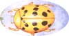 Mexican Bean Beetle.